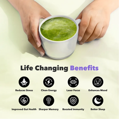 90 Servings of Matcha +
